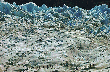 Gletsjer Perito Moreno (Argentinië)