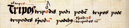detail van Latijnse grammatica