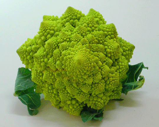 Broccoli romanesco