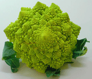Broccoli romanesco